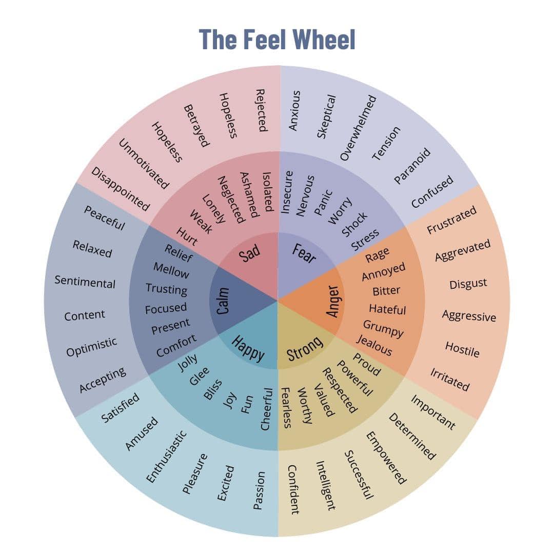 Feel Wheel preview